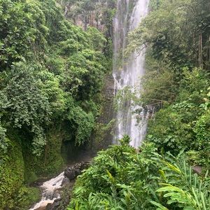 Meet your Posher, Jaya